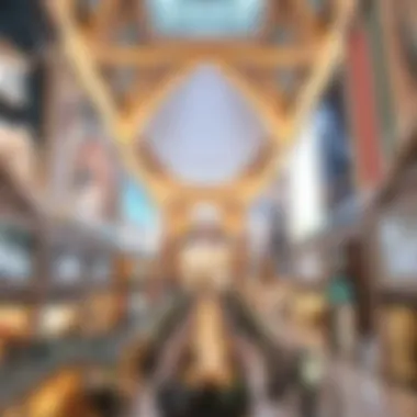 Magnificent Comprehensive Overview of Dubai Mall: A Hub of Commerce and Culture Magnificent Comprehensive Overview of Dubai Mall: A Hub of Commerce and Culture