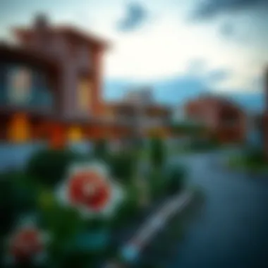 Magnificent Exploring OLX: The Landscape of Plots for Sale