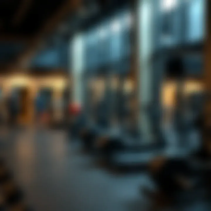 Magnificent Exploring the Fitness Landscape of Barsha Heights: A Guide to Gyms