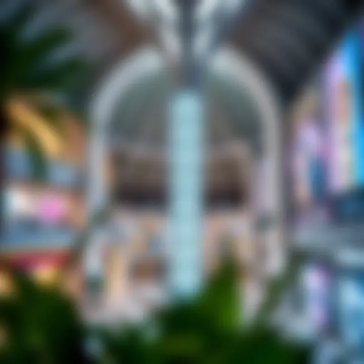 An Analytical Guide to Dragon Mall Dubai Summary