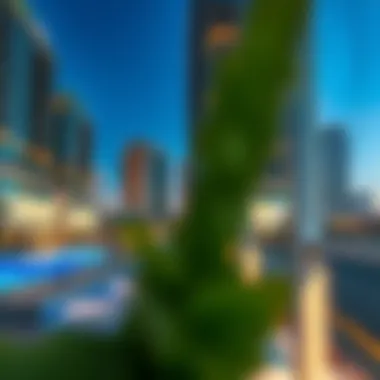 An In-Depth Exploration of the City Walk Building 16 Summary