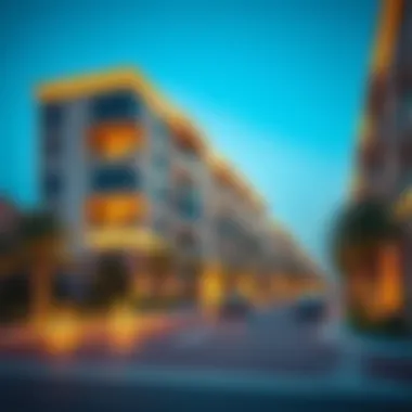 Badr Al Khawaneej: An Insight into a Growing Suburb Summary Badr Al Khawaneej: An Insight into a Growing Suburb Summary