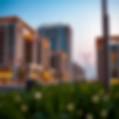 Comprehensive Exploration of Mirdif Hills Developer: Insights and Implications Summary Comprehensive Exploration of Mirdif Hills Developer: Insights and Implications Summary
