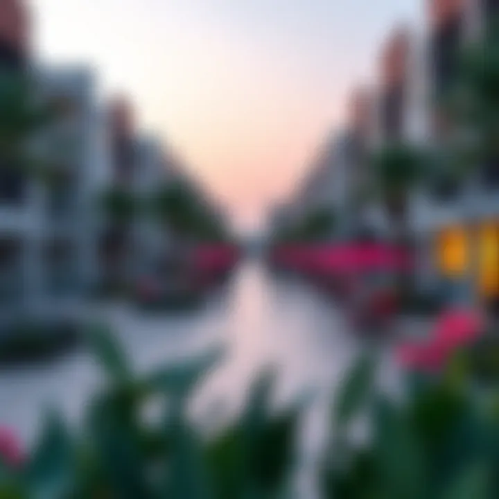 Vibrant community amenities in a Damac development