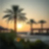 Comprehensive Insights into Al Bateen Beach Reviews Introduction