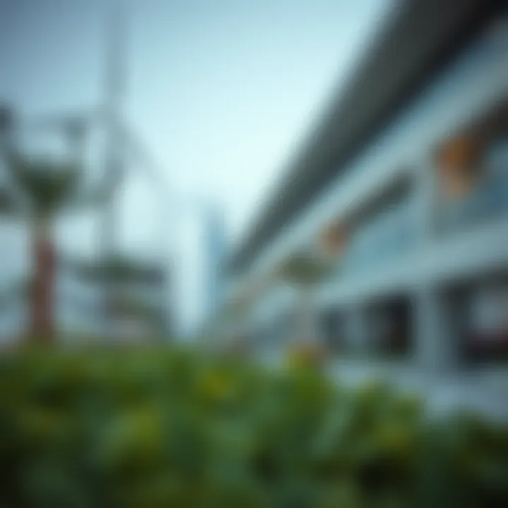 Outdoor planning in Jebel Ali