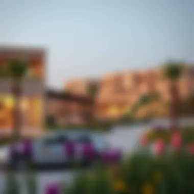 Amenities and Recreational Spaces in Elan Tilal Al Ghaf Community amenities in Elan Tilal Al Ghaf featuring recreational areas