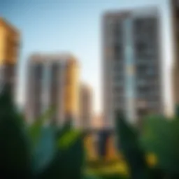 A picturesque view of a budget-friendly apartment complex in Dubai