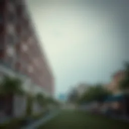 Exploring Affordable Indian Schools in Dubai Introduction