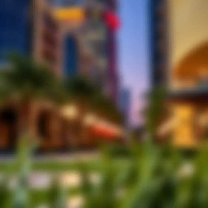 Vibrant Community Spaces Vibrant community spaces in Al Badia Festival City