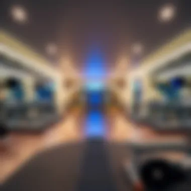 Exploring Al Barari Gym: Beyond Fitness Summary