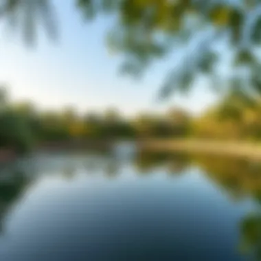 A tranquil pond surrounded by greenery in Al Quoz Park, offering a peaceful retreat.