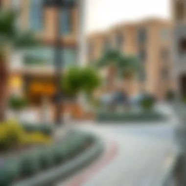 Local Amenities in Al Qusais Vibrant local amenities in Al Qusais including parks and shops