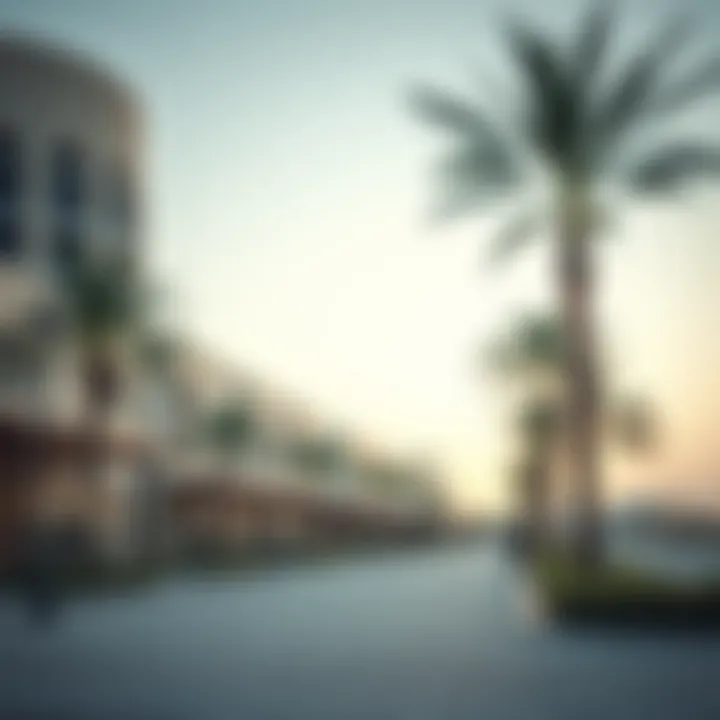 Real estate developments in Al Shamka highlighting investment opportunities