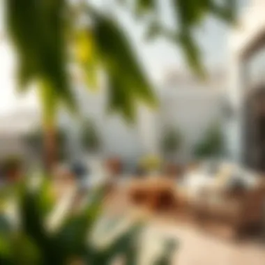 Tranquil Outdoor Space in a Dubai Community Tranquil outdoor space in a Dubai community