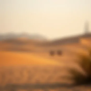 Stunning landscape of the Dubai Desert