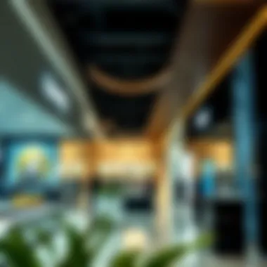 Diverse Retail Options at Dubai Outlet Interior view showcasing diverse retail options