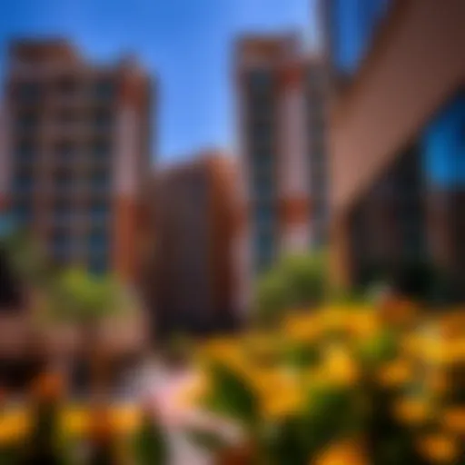 Exploring Flat Rentals in Muwaileh Commercial: A Comprehensive Guide Introduction