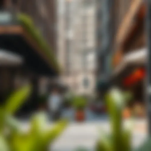 Vibrant street view of Karama showcasing local shops and cafes