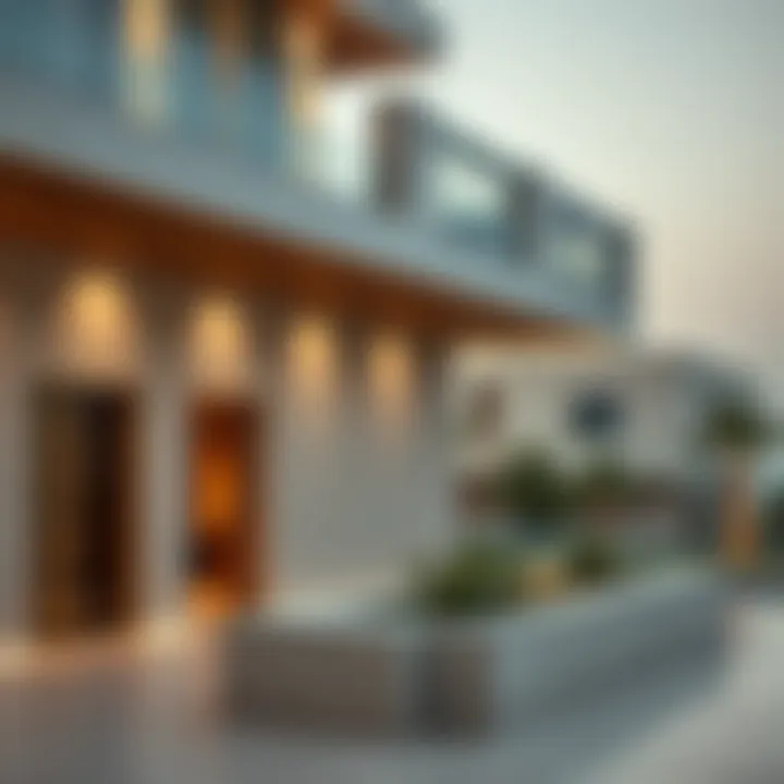 Architectural Details of الحديقة العالمية دبي Architectural details highlighting the design philosophy of الحديقة العالمية دبي