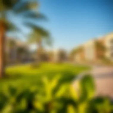 Recreational Spaces at حياة بارك Serene parks and recreational areas in حياة بارك