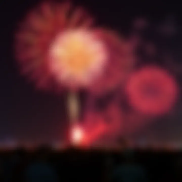 Fireworks Display Vibrant fireworks display during a UAE holiday.