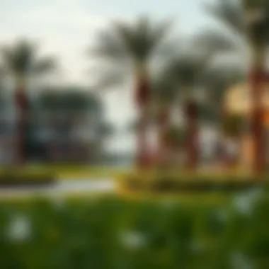 Community Park in Jebel Ali Village Community park in Jebel Ali Village featuring recreational areas and open spaces