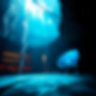 Dazzling underwater scene from La Perle show