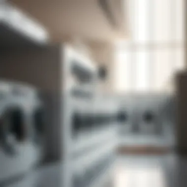 Exploring Laundry Services in Dubai: A Comprehensive Overview Summary Exploring Laundry Services in Dubai: A Comprehensive Overview Summary