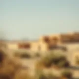 Exploring Liwa Oasis: A Comprehensive Insight Introduction