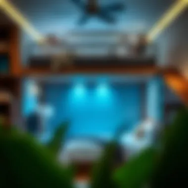 Exploring Loft Beds in Dubai: Trends, Benefits, and Options Summary Exploring Loft Beds in Dubai: Trends, Benefits, and Options Summary