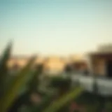 Exploring مجمع زايد المزهر: Insights into a Thriving Community Introduction