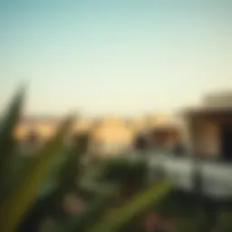 Exploring مجمع زايد المزهر: Insights into a Thriving Community Introduction