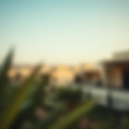 Exploring مجمع زايد المزهر: Insights into a Thriving Community Introduction