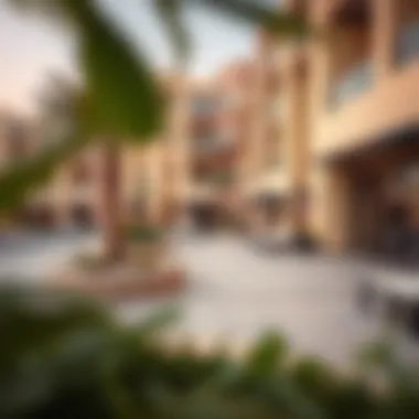 Amenities Offering a Comfortable Lifestyle Community amenities in Al Nahda 2