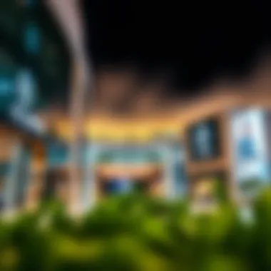 Exploring New Malls in Dubai Summary