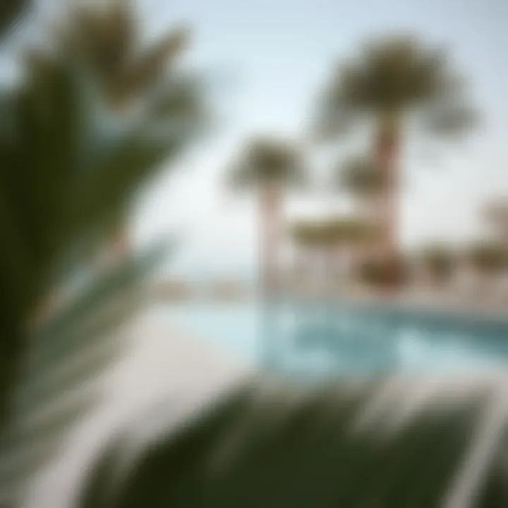 Serene Outdoor Area Featuring a Private Pool and Palm Trees Serene outdoor area featuring a private pool surrounded by palm trees