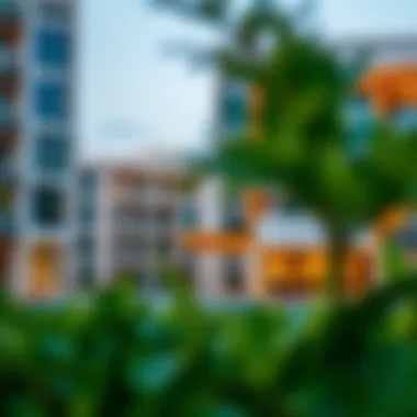 Notable Exploring Sharjah Al Nahda: Insights into a Thriving Community