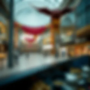 Exploring the Chinese Market: Capital Mall in Dubai Introduction Exploring the Chinese Market: Capital Mall in Dubai Introduction
