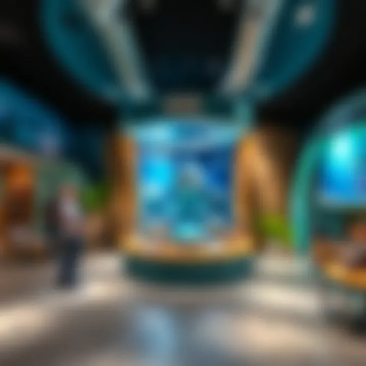 Educational exhibit highlighting marine conservation efforts at the Dolphinarium