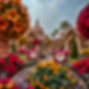 Exploring the Dubai Miracle Garden: A Detailed Guide and Map Insights Summary Exploring the Dubai Miracle Garden: A Detailed Guide and Map Insights Summary
