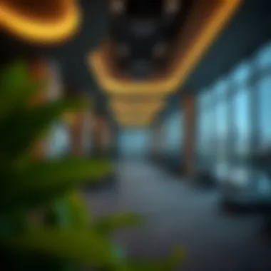 Exploring the Fitness Landscape of Barsha Heights: A Guide to Gyms Introduction Exploring the Fitness Landscape of Barsha Heights: A Guide to Gyms Introduction