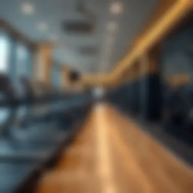 Notable Exploring the Fitness Landscape of Barsha Heights: A Guide to Gyms Notable Exploring the Fitness Landscape of Barsha Heights: A Guide to Gyms