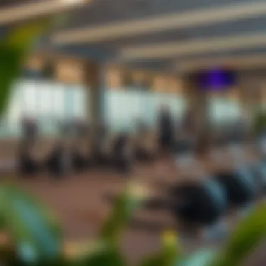 Exploring the Fitness Landscape of Barsha Heights: A Guide to Gyms Summary Exploring the Fitness Landscape of Barsha Heights: A Guide to Gyms Summary