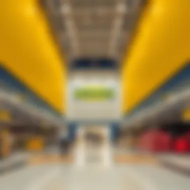 Exploring the IKEA Store in Dubai: A Comprehensive Overview Summary