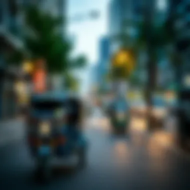 Exploring the Role of Tuk Tuks in Sustainable Urban Development Summary