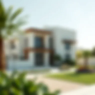 Exploring the Villas of Dubailand: A Comprehensive Analysis Summary Exploring the Villas of Dubailand: A Comprehensive Analysis Summary