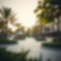 Exploring Wasl Green Park: A Photographic Journey Introduction