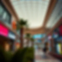 Exploring Yas Mall: A Comprehensive Guide Introduction