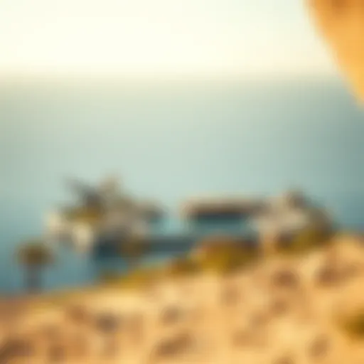 Falcon Island RAK: An In-Depth Exploration of a Unique Opportunity Introduction